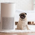 Do air purifiers help with anything?