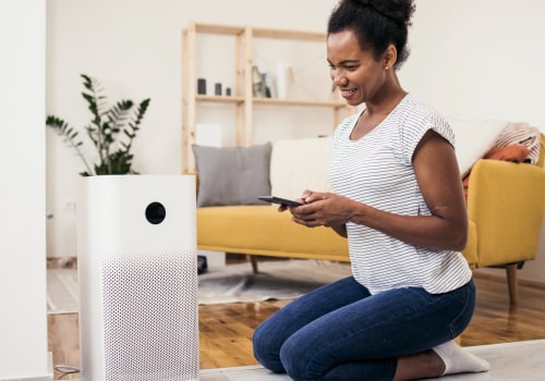 The Power of Using an Air Purifier Every Day