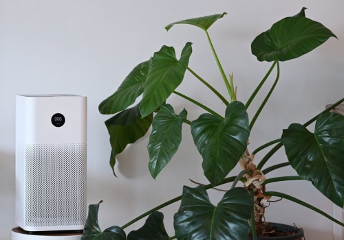 The Ultimate Guide to Choosing the Perfect Air Purifier