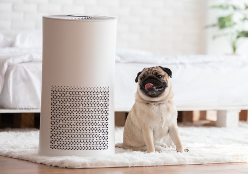 The Ultimate Guide to Choosing the Perfect Air Purifier